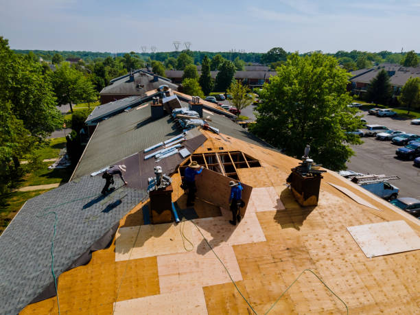 24/7 Emergency Roof Replacement experts in Riverview, MI